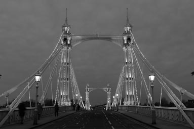 Albert Bridge Picture